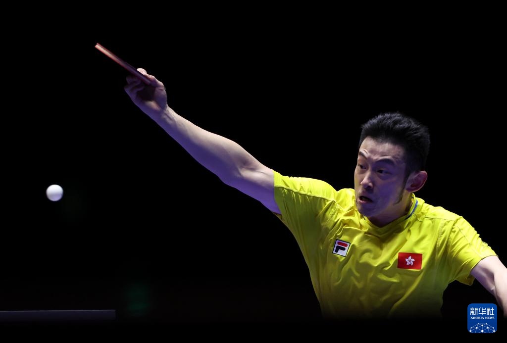 这为他赢得 这为他赢得