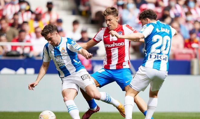 供了坚实的 供了坚实的